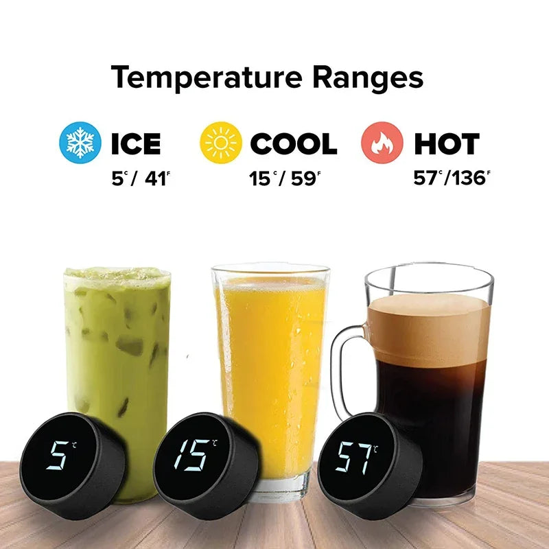 Botella Inteligente con Pantalla de Temperatura
